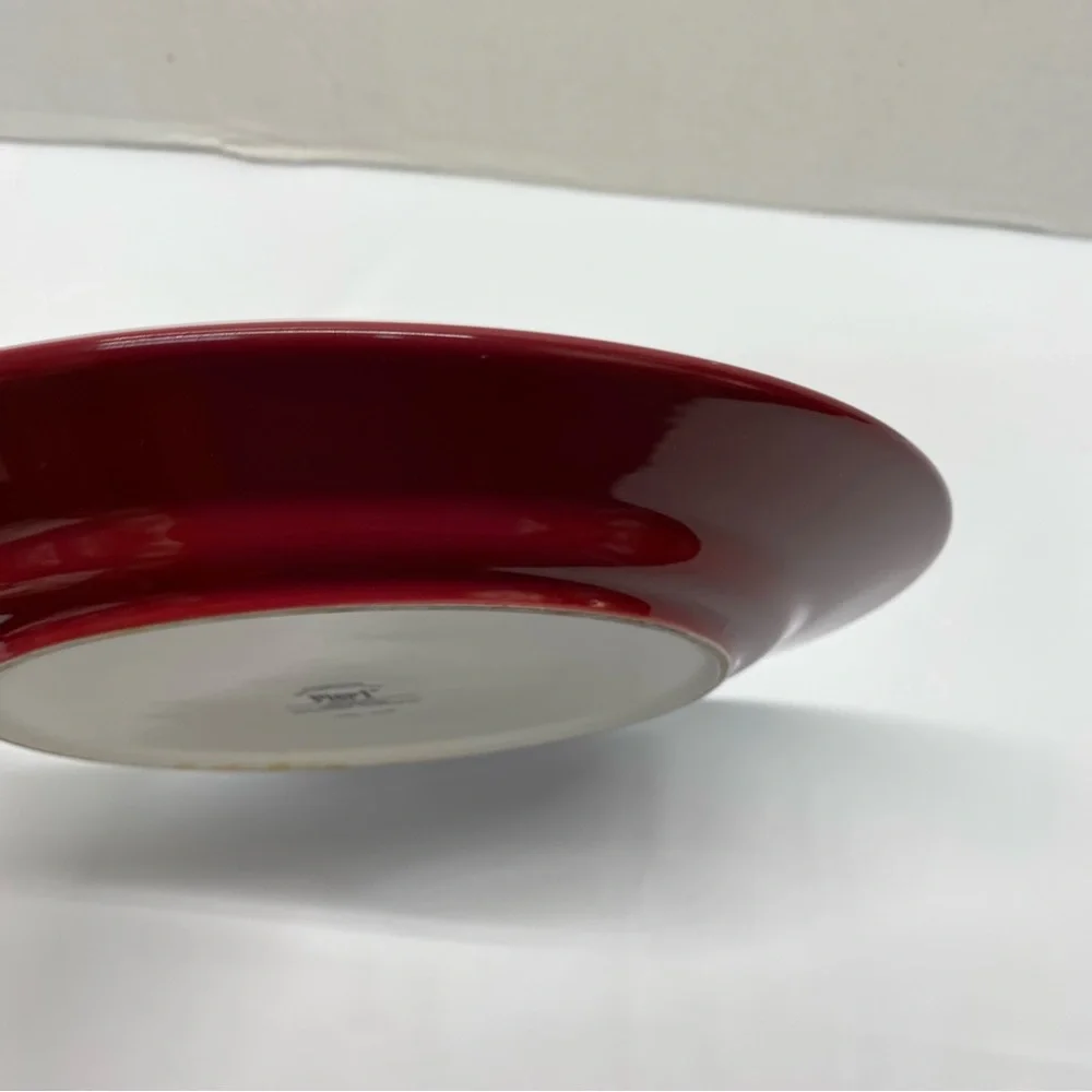 Pier 1 Mexicali Print Dinner Plate Multicolored Stoneware Contemporary READ